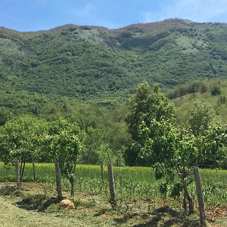 MonteCerviero Bed & Breakfast *